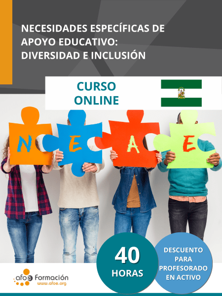 Necesidades específicas de apoyo educativo: Diversidad e inclusión