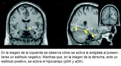 inteligencia emocional