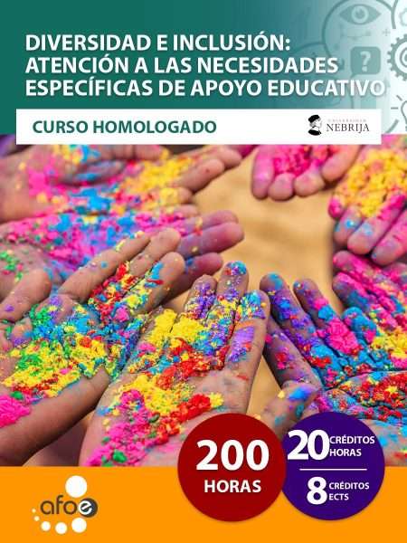 Diversidad e inclusión: atención a las necesidades específicas de apoyo educativo (200 horas)