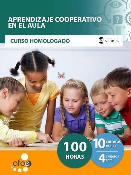 Aprendizaje cooperativo en el aula (100 horas)