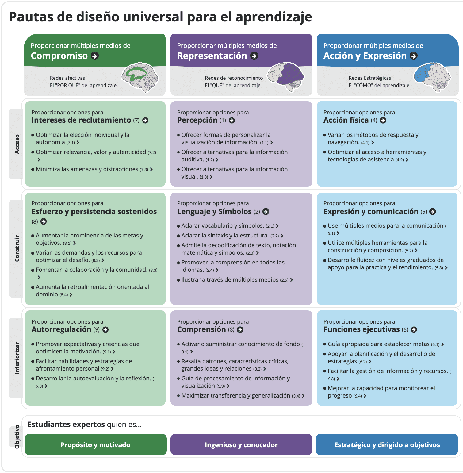 pautas de diseno universal para el aprendizaje afoe