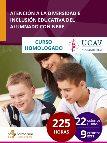 Atención a la Diversidad e Inclusión Educativa del alumnado con NEAE