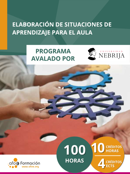 Elaboración de situaciones de aprendizaje para el aula (100 horas)