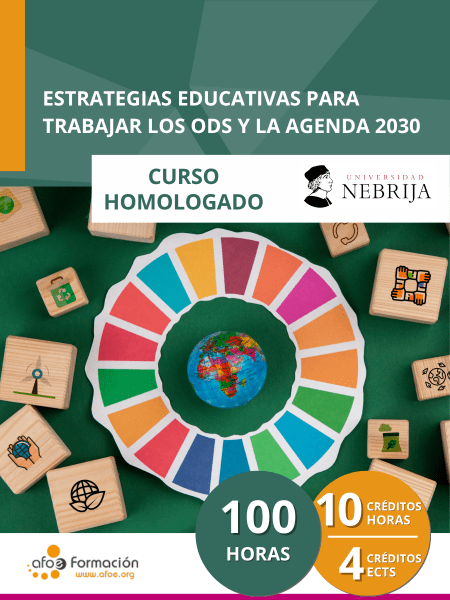 Educación para el desarrollo: Estrategias educativas para trabajar los ODS y la Agenda 2030. (100 horas)