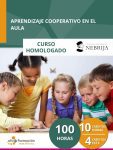 Aprendizaje cooperativo en el aula (100 horas)